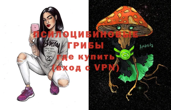 марки nbome Гусь-Хрустальный