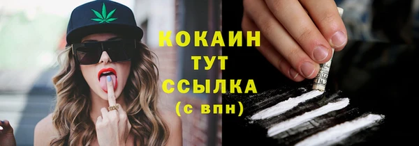 мяу мяу мука Гусев
