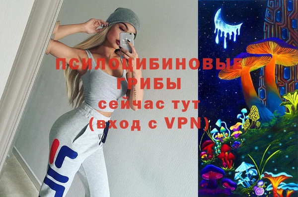 марихуана Гусиноозёрск