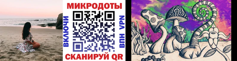 Псилоцибиновые грибы Psilocybe  даркнет сайт  Димитровград 